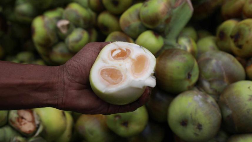 তালের শাঁসের উপকারিতা