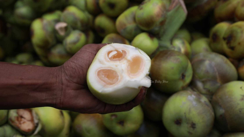 তালশাঁসের উপকারিতা