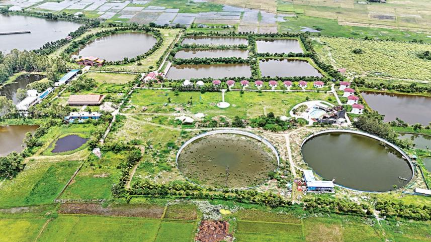 সাভানা রিসোর্ট