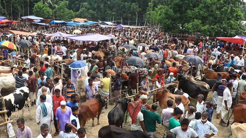 পাবনা গরুর হাট