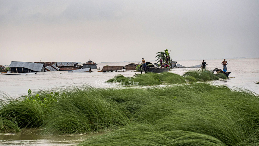 ৩ দিন হলো এভাবেই বন্যার পানিতে দাঁড়িয়ে আছে ঘোড়াগুলো