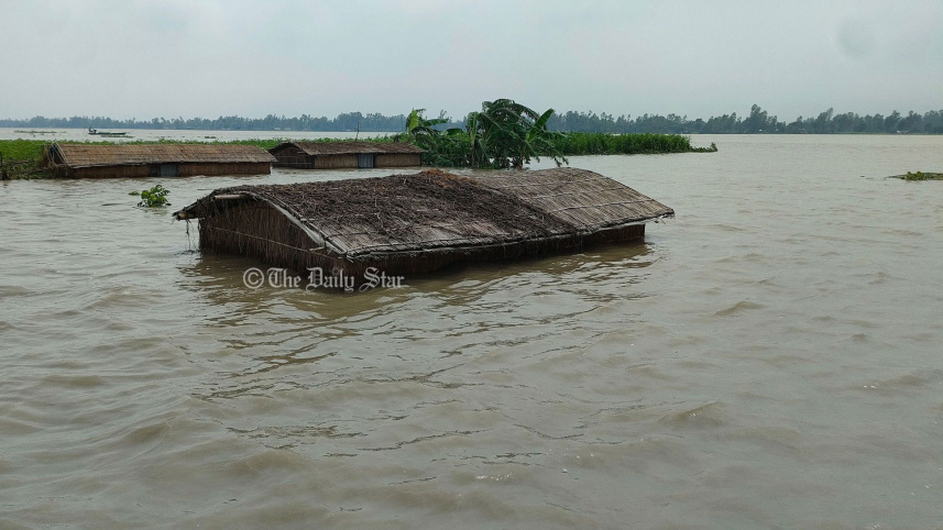 ৩ দিন হলো এভাবেই বন্যার পানিতে দাঁড়িয়ে আছে ঘোড়াগুলো