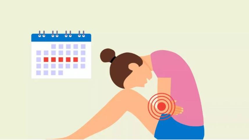 চকলেট সিস্ট