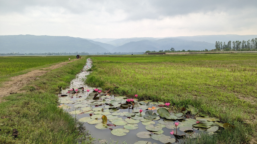 কার্তিক