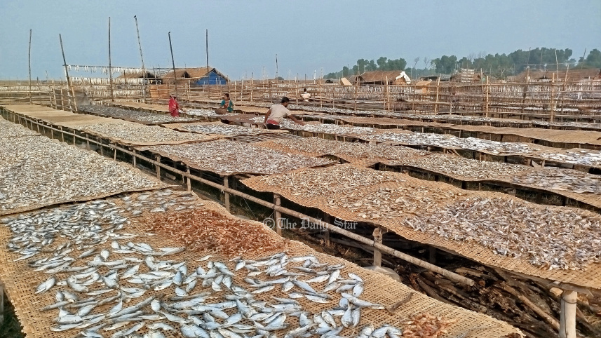 দুবলার চর