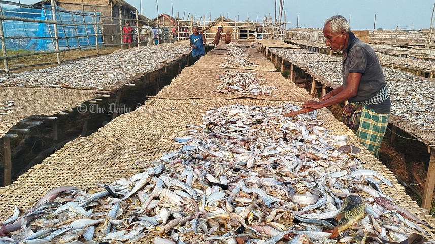 দুবলার চর