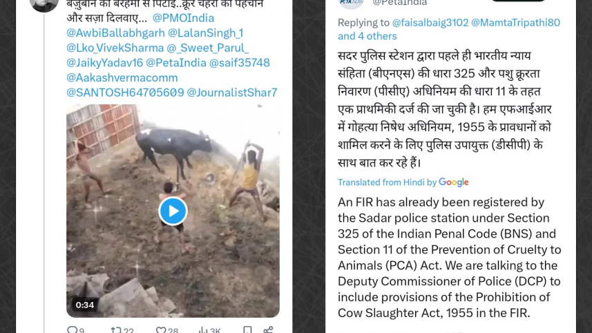 cow_farm_punjab.jpg