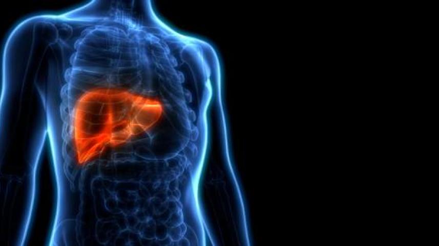 লিভার সিরোসিস