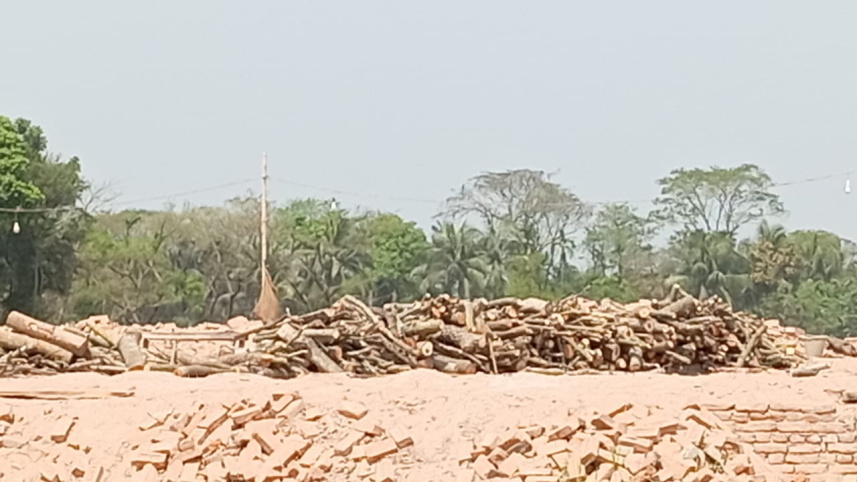 মাদারীপুরে অবৈধ ইটভাটার সংখ্যা আশঙ্কাজনকভাবে বাড়ছে। ছবি: জাহিদ হোসেন/স্টার