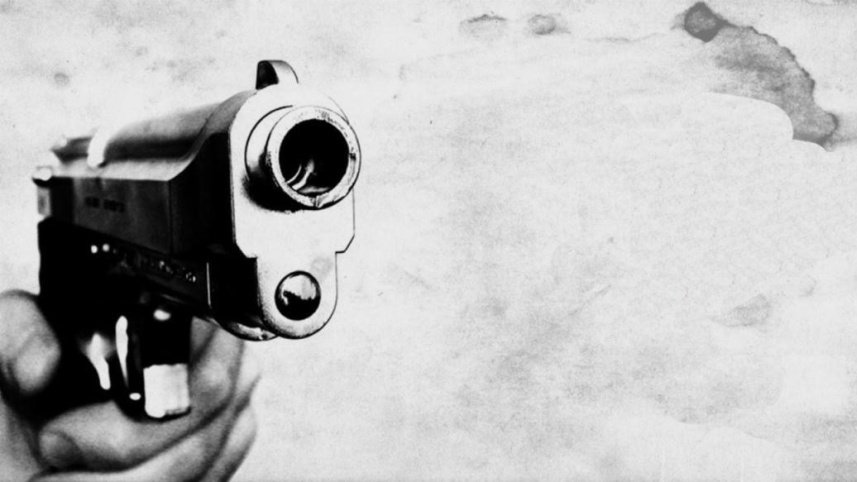 Gun