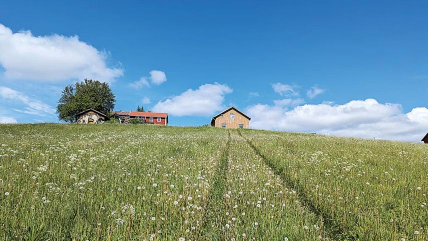 নর্ডিক অঞ্চল