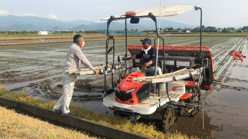 উত্তর জাপানের ইয়ামাগাতা প্রিফ্যাকচারের তেন্দো এলাকায়  উন্নত প্রযুক্তির ব্যবহারে ধানের চাষাবাদ চলছে। ফাইল ছবি: রয়টার্স