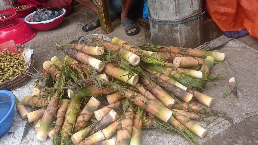 বাঁশ কোড়ল