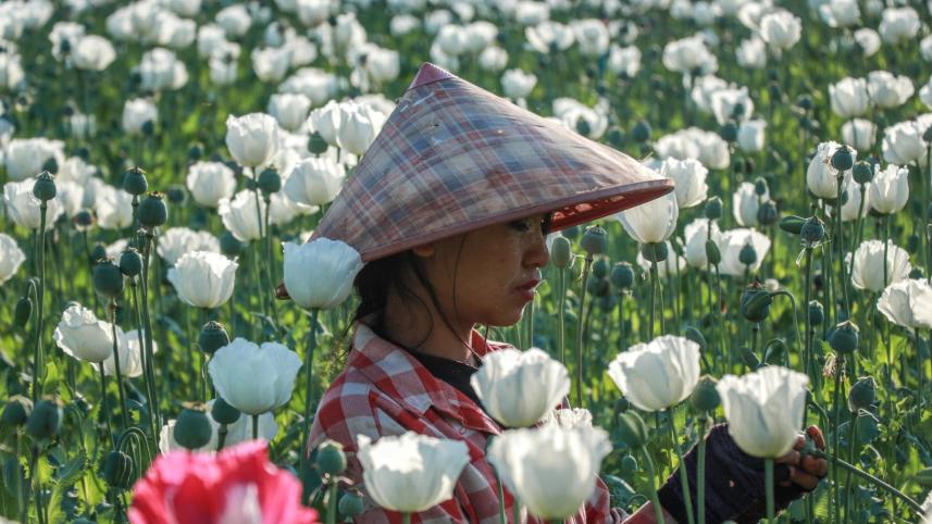 myanmar_opium_2.jpg