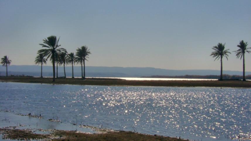 ইউফ্রেতিস (ফোরাত) নদের সেই সুজলা সুফলা রূপ আজ আর নেই। ছবি: উইকিমিডিয়া কমন্স/২০০৬