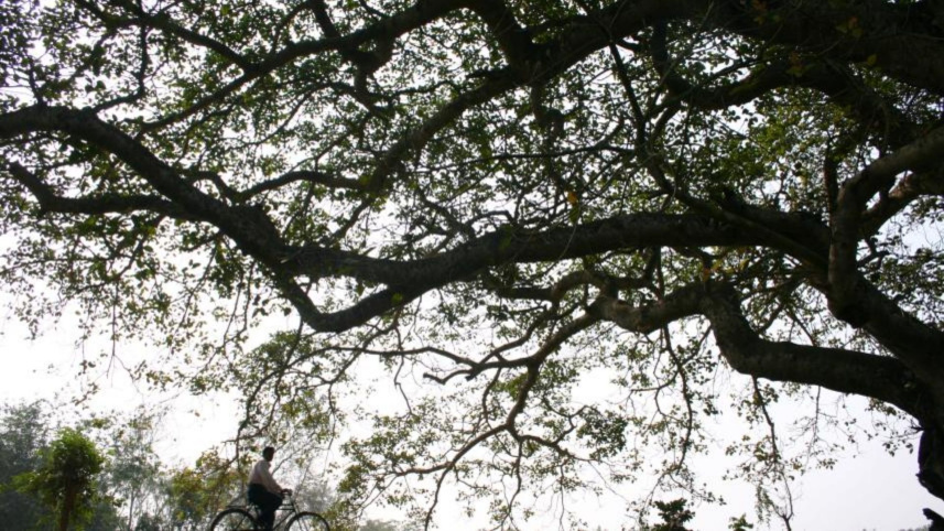 তারুণ্যেই কেন বাংলাদেশ ঘুরে ফেলা উচিত