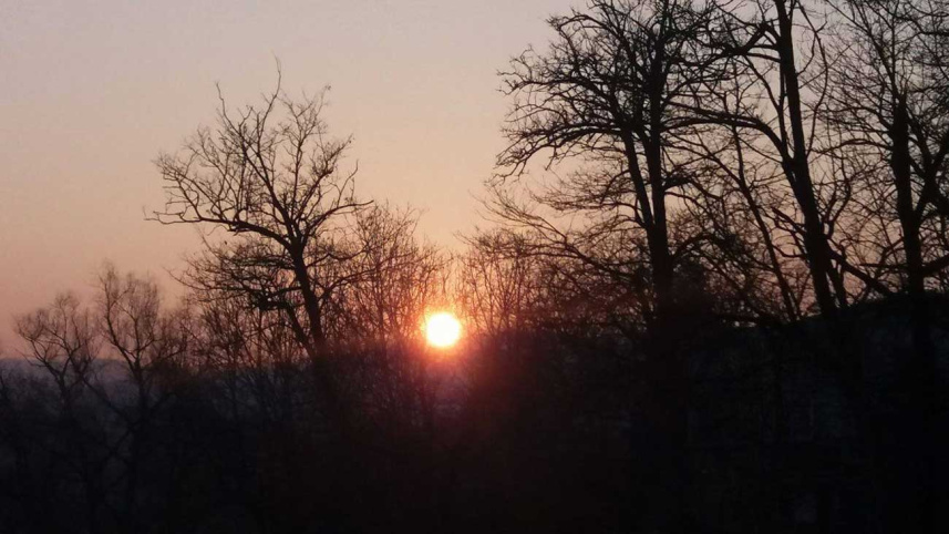 বানিয়া লুকা