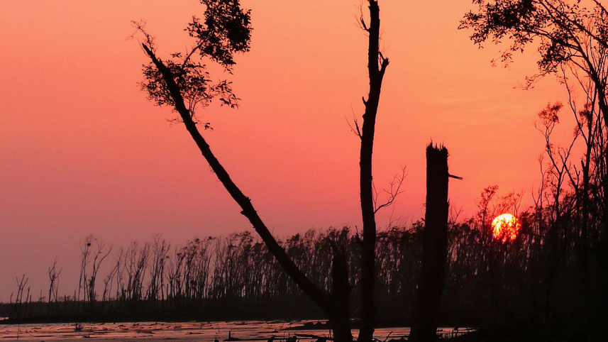 1280px-Sundarbans_a_few_months_after_cyclone_sidr.jpg