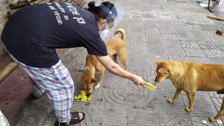 DOG1.jpg