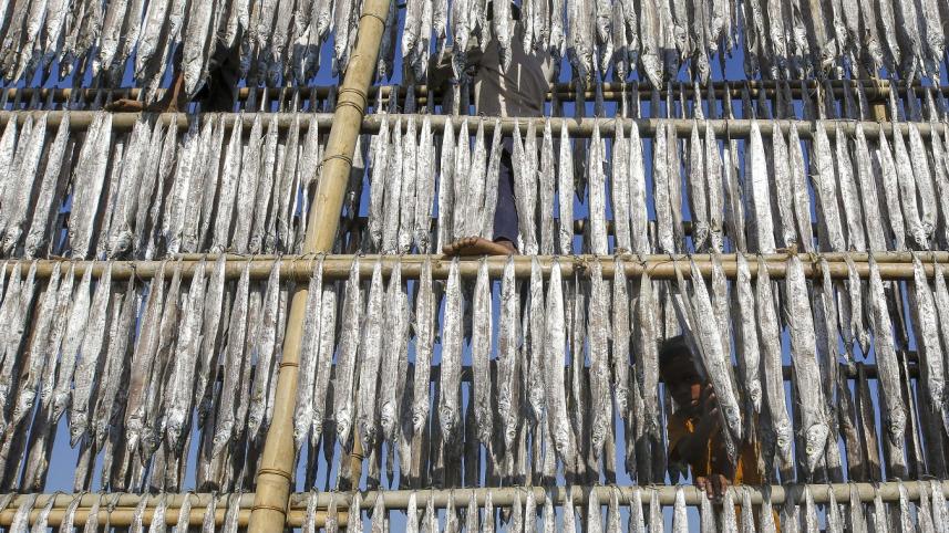 Dry Fish (11).JPG
