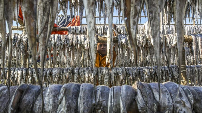 Dry Fish (8).JPG