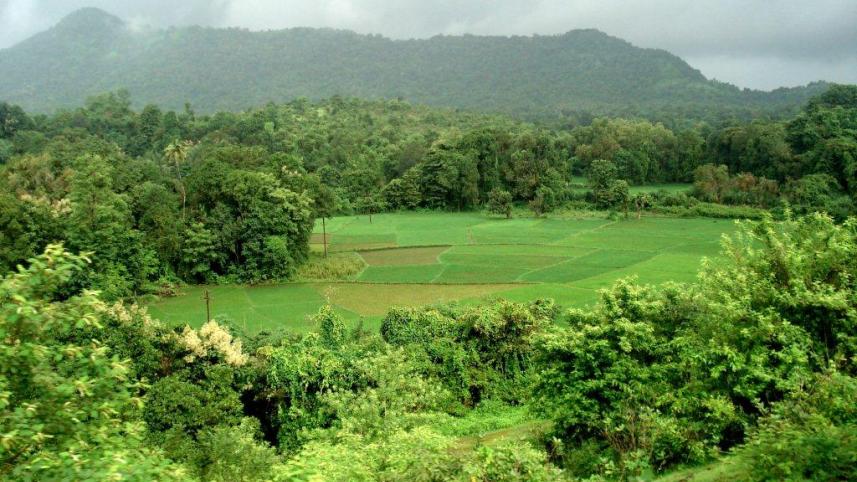 GOA 19-26 July 2008 066.jpg