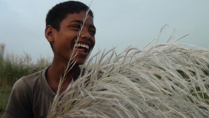 Lalmonirhat autumn.JPG