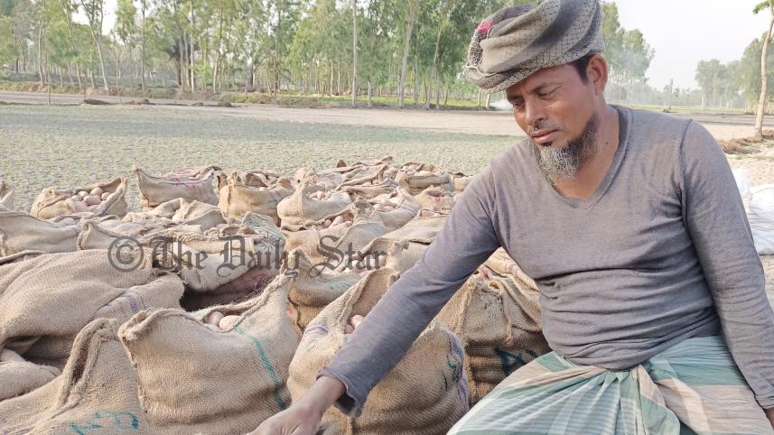 Lalmonirhat potatoes-02.jpg