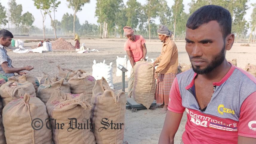 Lalmonirhat potatoes-04.jpg