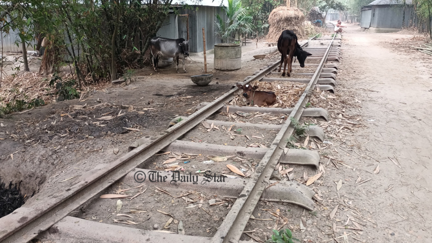 Lalmonirhat rail route 2.jpg