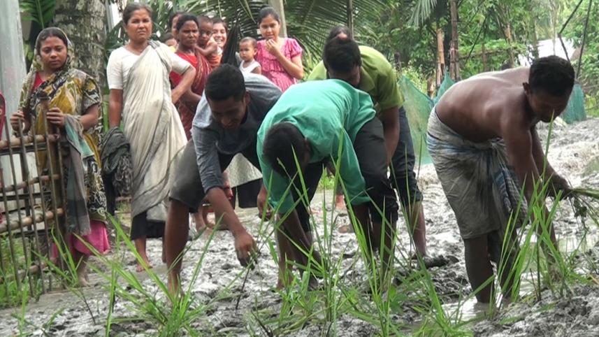 Lalmonirhat_Road1.jpg