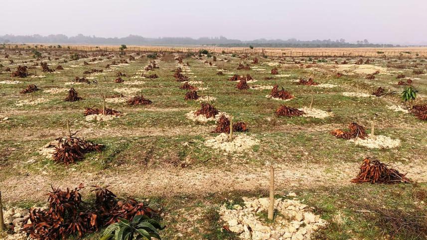 Naogaon-2.jpg