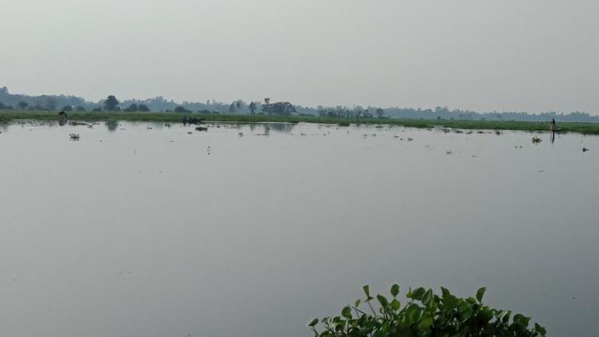 SONAI BILL3.jpg