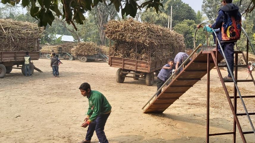Sugarcan Buying Center Natore