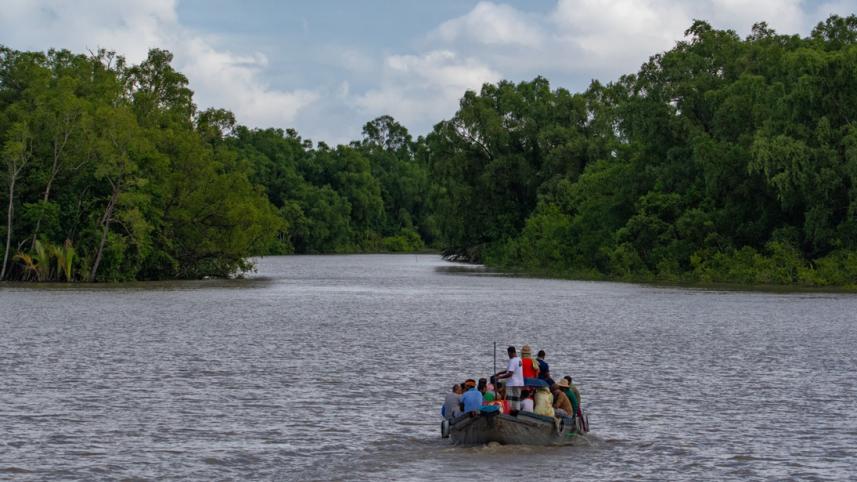 Sundarban