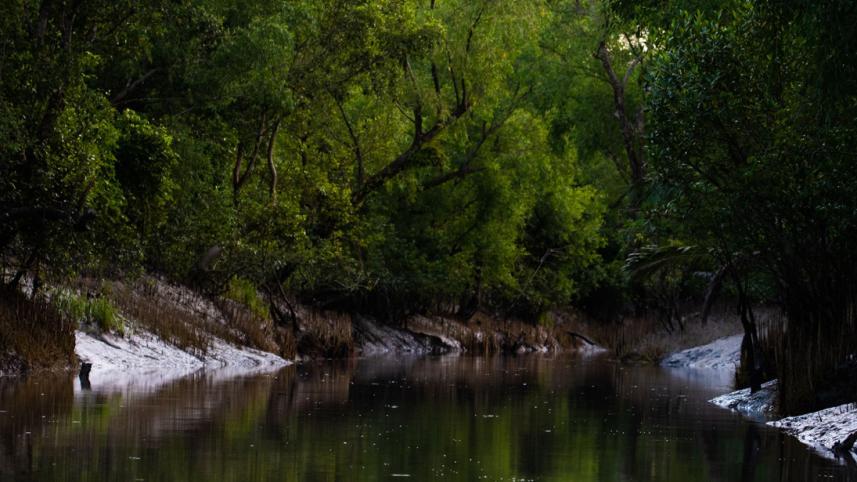 Sundarban