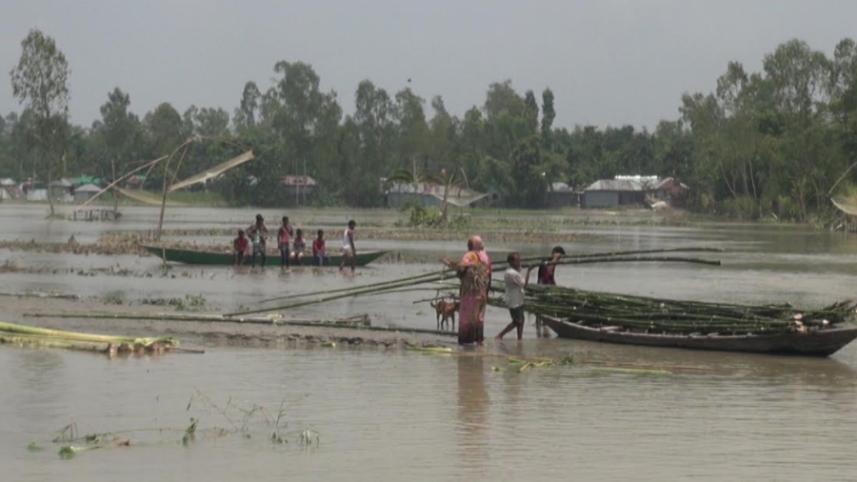 tista2.jpg