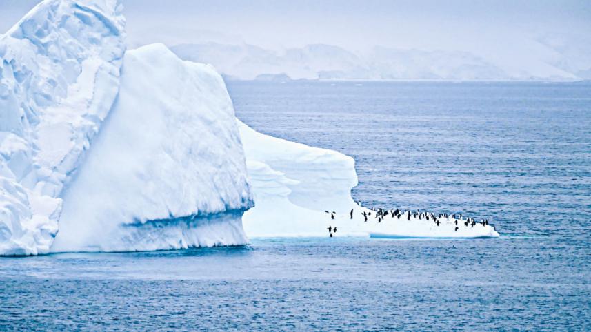 antarctica-2.jpg