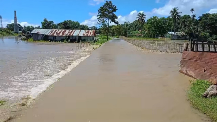 বাঘাইছড়ি