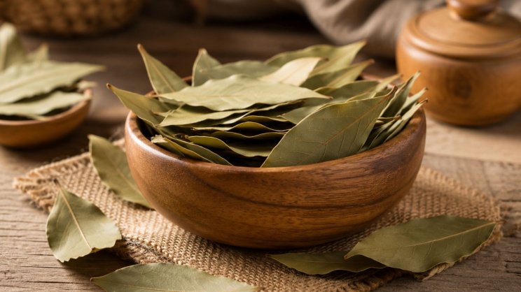 Bayleaf leaves