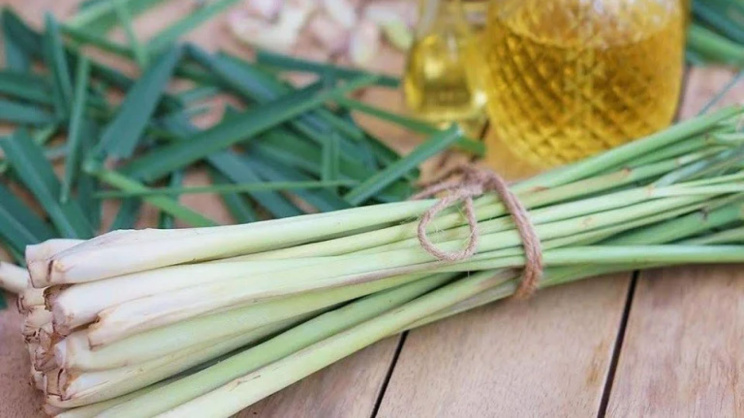 Lemongrass