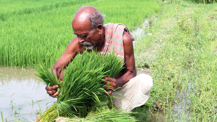 Rangpur Oraon