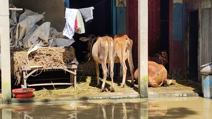 খোয়াই নদীর বাঁধ ভেঙে ২২ গ্রাম প্লাবিত 