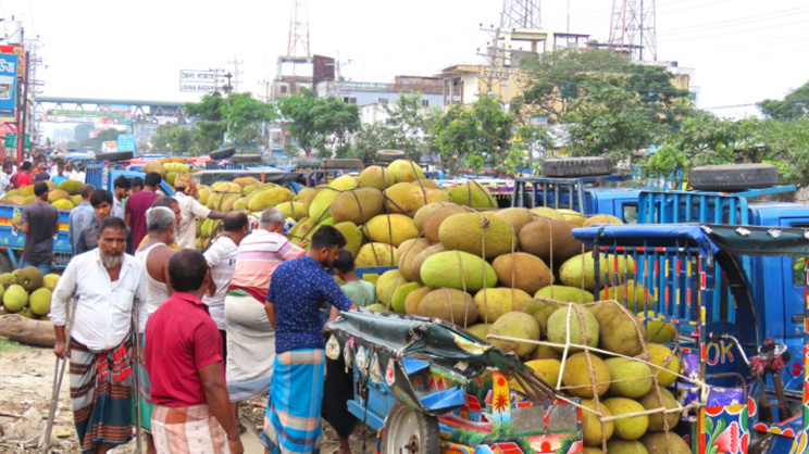 কাঁঠাল