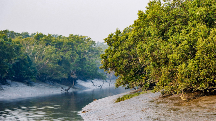 ছবি: স্টার।