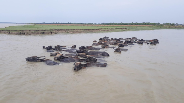 ছবি: স্টার
