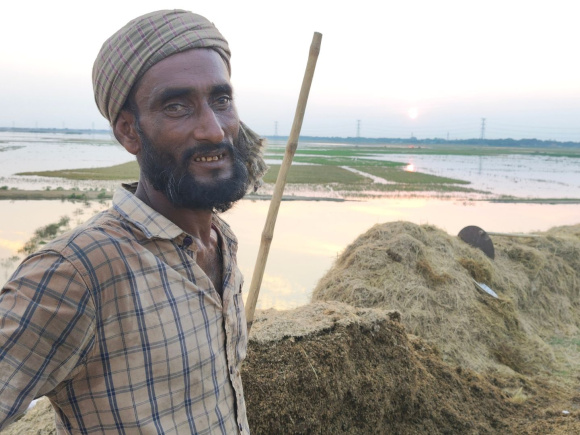 কিশোরগঞ্জের করিমগঞ্জের বড় হাওর এলাকা থেকে তোলা। ছবি: তাফসিলুল আজিজ 