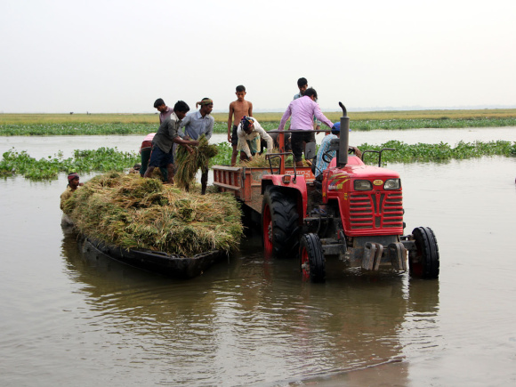মেদীর হাওর