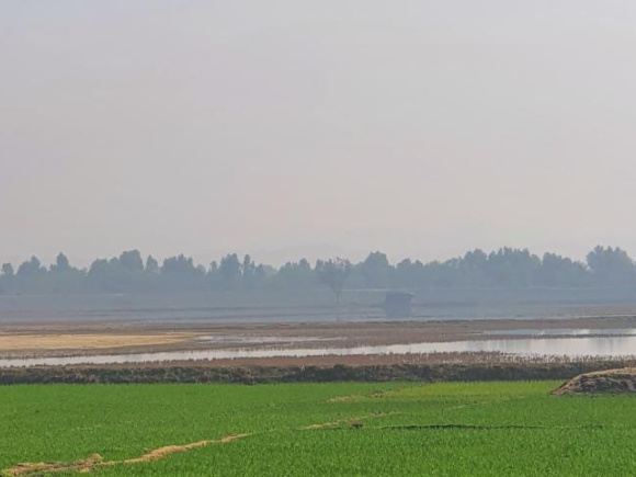 স্টার ফাইল ছবি।