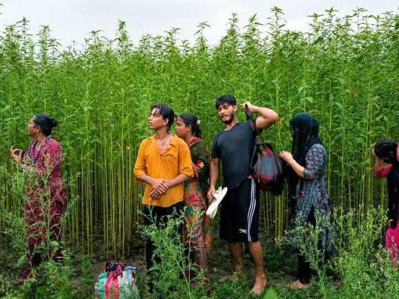 কুষ্টিয়ায় পুশ ইন চেষ্টা
